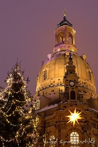 The Frauenkirche Dresden With Christmas Tree At Night