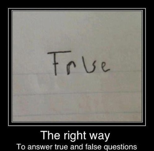 The Right Way To Answer True And False Questions Funny Exam Meme Poster Image