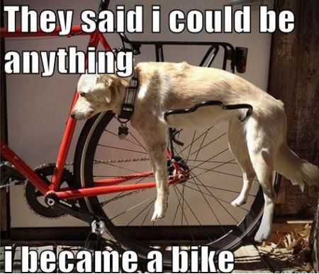 They Said I Could Be Anything I Became A Bike Funny Bike Meme Picture