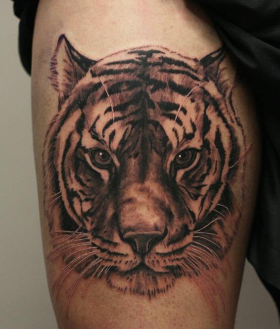 Tiger Head Tattoo On Thigh by Anders Grucz