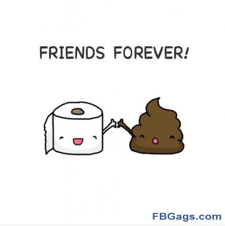 Toilet Paper And Poop Very Funny Best Friends Picture