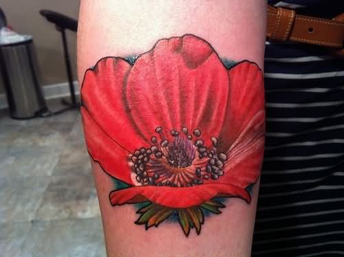 Traditional Poppy Flower Tattoo Sleeve By Cindy Vega