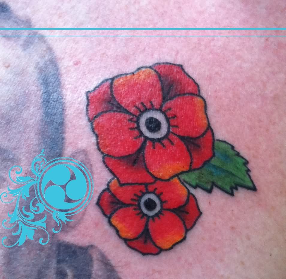 Traditional Poppy Flowers Tattoo Design By Jonny Vegas