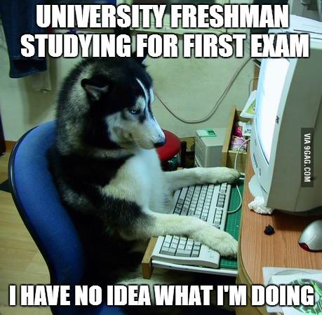 University Freshman Studying For First Exam I Have No Idea What No Idea I Am Doing Funny Exam Meme Photo
