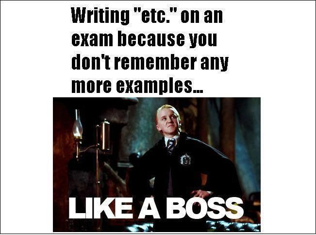 Writing ''Etc'' On An Exam Because You Don't Remember Any More Examples Like A Boss Funny Exam Meme Image