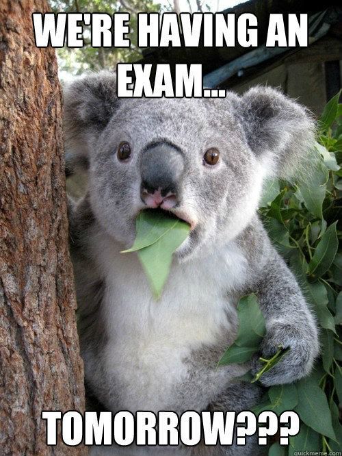 We Are Having An Exam Tomorrow Funny Exam Meme Picture
