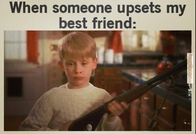 When Someone Upsets My Best Friend Funny Image