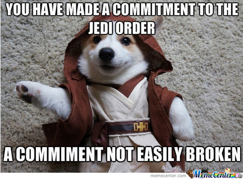 You Have Made A Commitment To Jedi Order Funny Star War Meme Photo