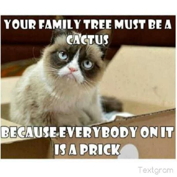 Your Family Tree Must Be A Cactus Because Everybody On It Is A Prick Funny Family Meme Picture