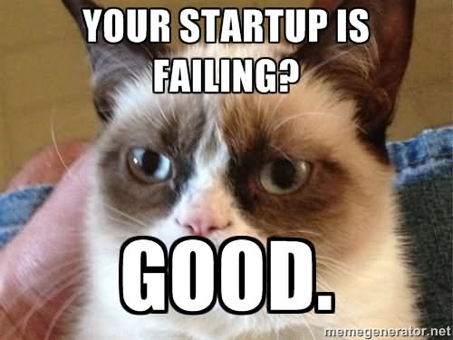 Your Startup Is Failing Good Funny Fail Meme Image