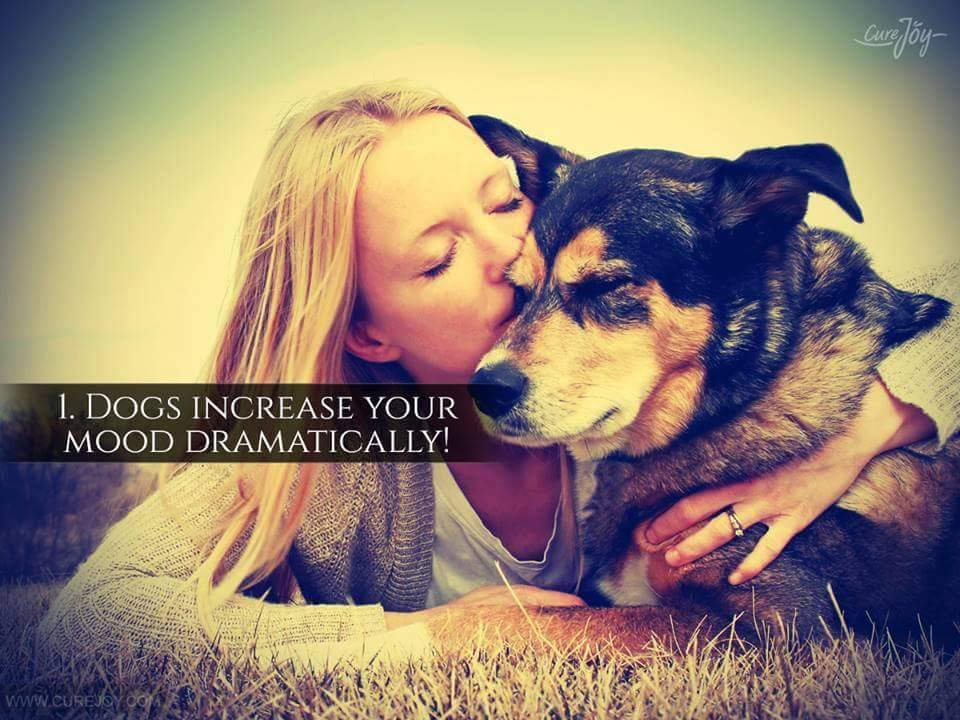 1. Dog increase your mood dramatically!