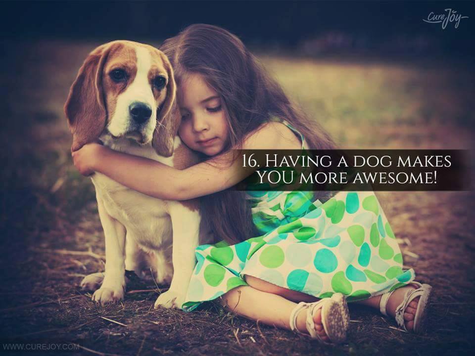 16. Having a dog makes you more awesome!