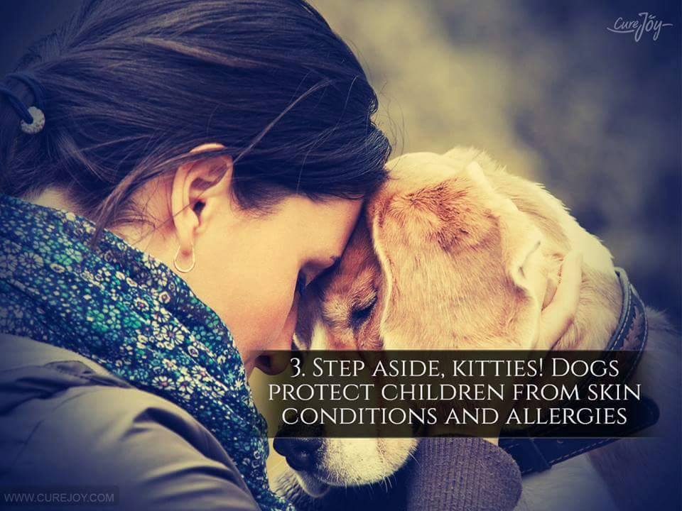 3. Step aside kitties! Dogs protect children from skin conditions and allergies.
