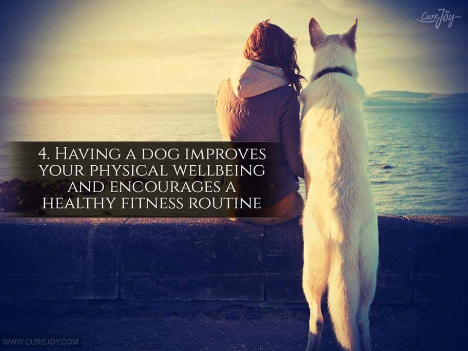 4. Having a dog improves your physical wellbeing and encourages a healthy fitness routine.
