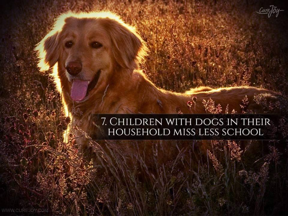 7. Children with dogs in their household miss less school.