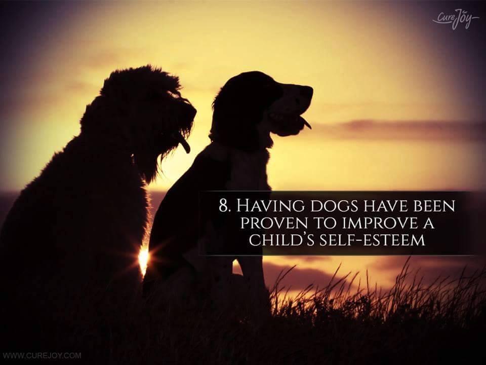 8. Having dogs have been proven to improve a child's self-esteem.