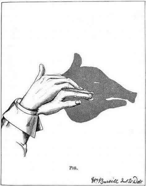 30 Amazing Hand Shadow Puppets Images
