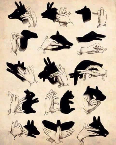 Amazing Hand Shadow Art (13)