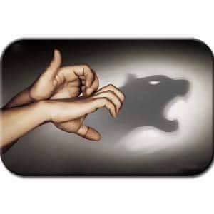 Amazing Hand Shadow Art (2)