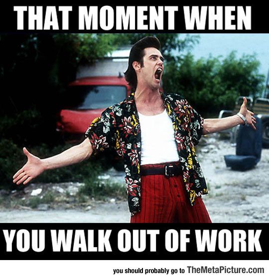 Funny Jim Carrey Meme That Moment When You Walk Out Of Work Picture