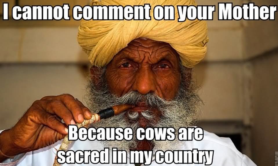 I Cannot Comment On Your Mother Because Cows Are Scared In My Country Funny Image