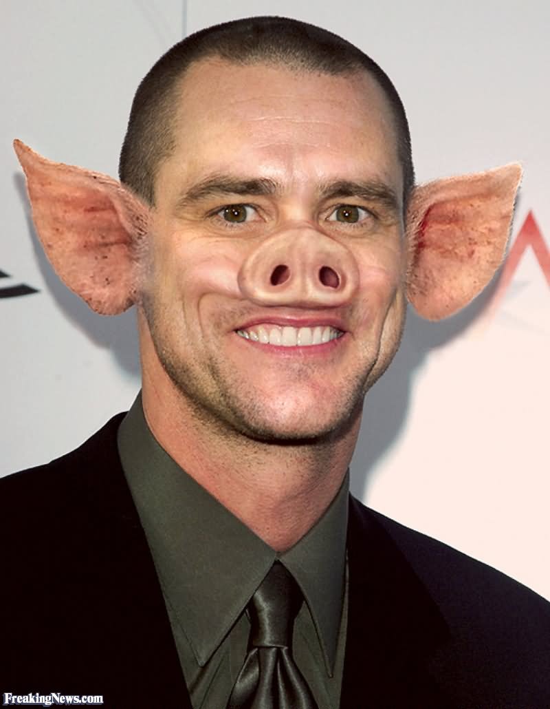Jim Carrey With Pig Face Funny Photoshop Photo
