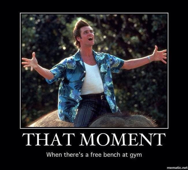 That Moment When There's A Free Bench At Gym Funny Jim Carrey Meme Image