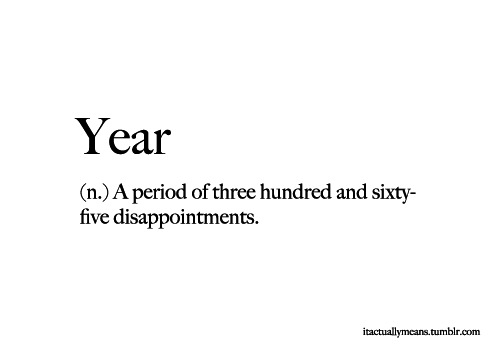 A Period Of Three Hundred And Sixty Five Disappointments Funny Year Definition Image