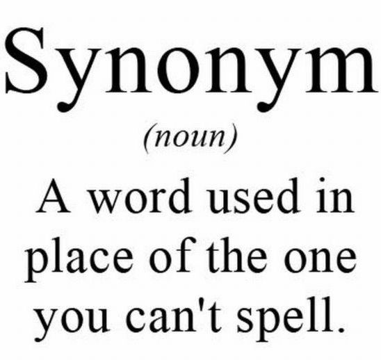 A Word Used In Place Of The One You Can’t Spell Funny Synonym Definition Image