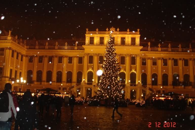 Adorable Snow Fall View Of Schonbrunn Palace With Christmas Tree At Night
