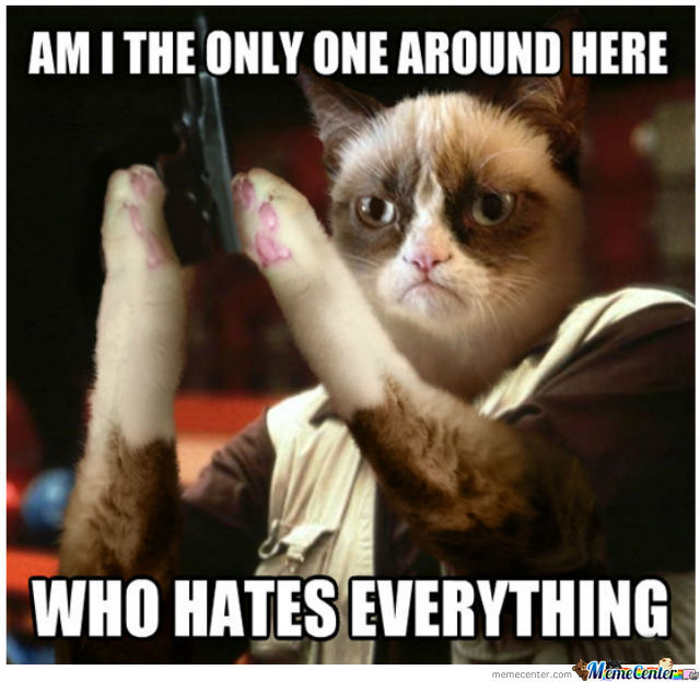Am I The Only One Around Here who Hates Everything Funny Grumpy Cat Meme Image