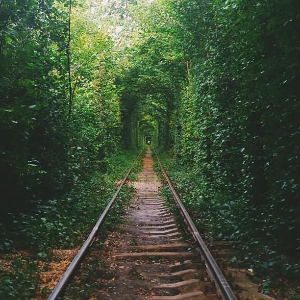 Amazing View Of The Railway Track At Tunnel Of Love In Klevan, Ukraine