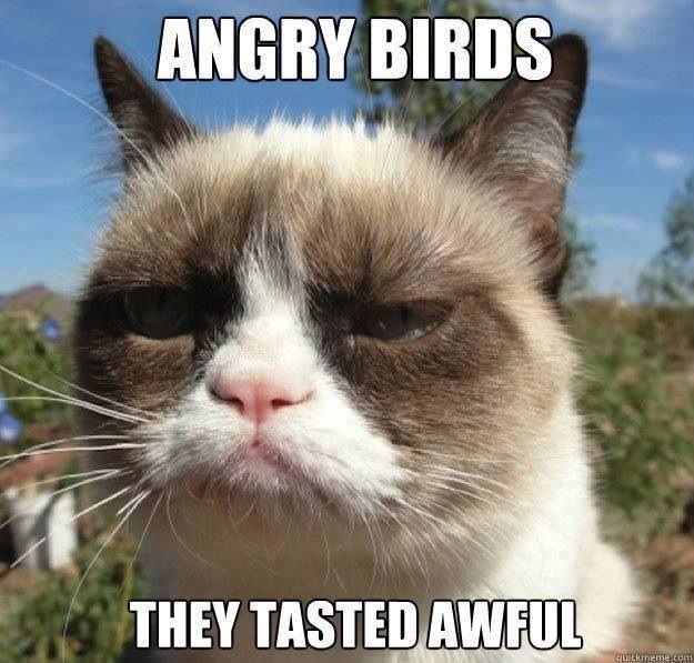 Angry Birds They Tasted Awful Funny Grumpy Cat Image