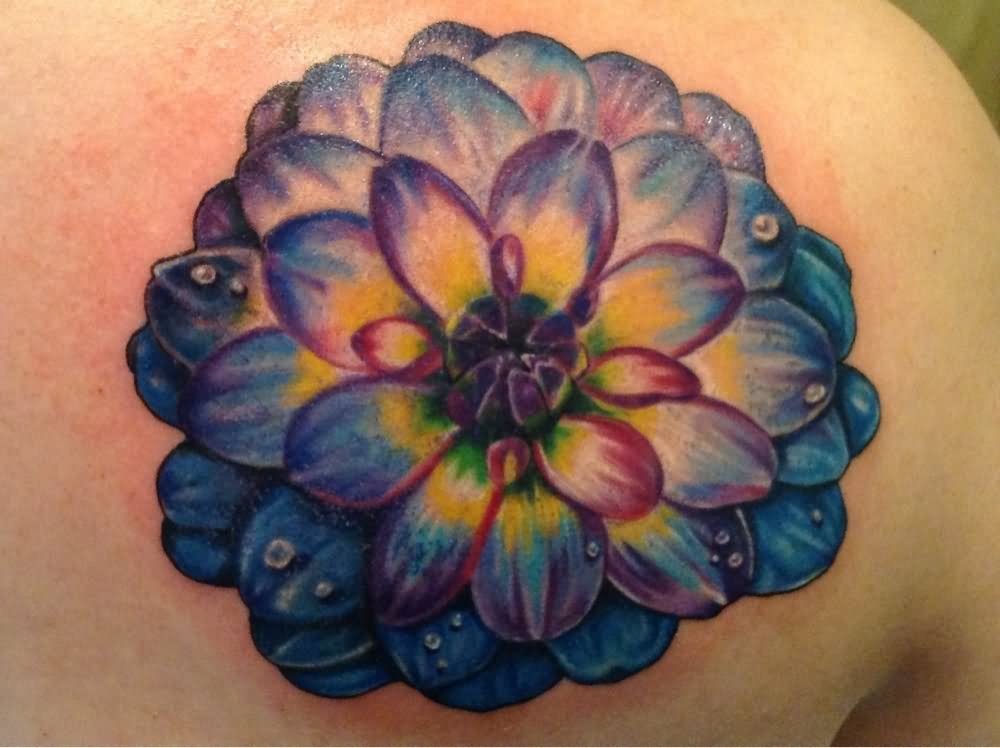 Attractive 3D Dahlia Flower Tattoo On Right Back Shoulder
