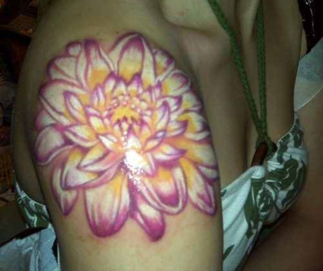 Attractive Dahlia Flower Tattoo On Right Shoulder