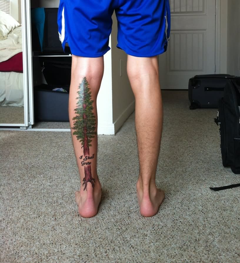 Attractive Tree Tattoo On Left Leg Calf By Andrea