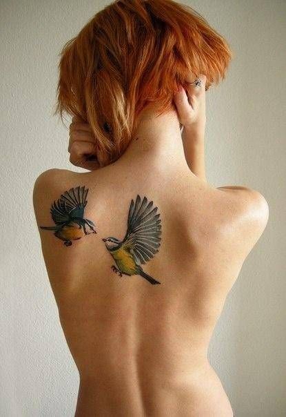 Awesome Color Sparrow Tattoos On Back