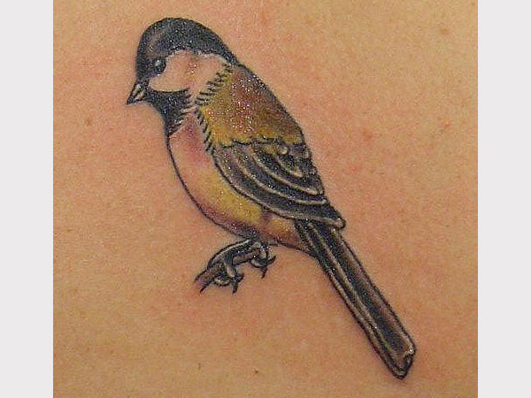 Awesome Cute Sparrow Tattoo