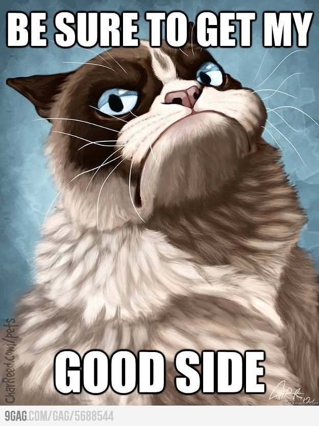Be Sure To Get My Good Side Funny Grumpy Cat Meme Picture