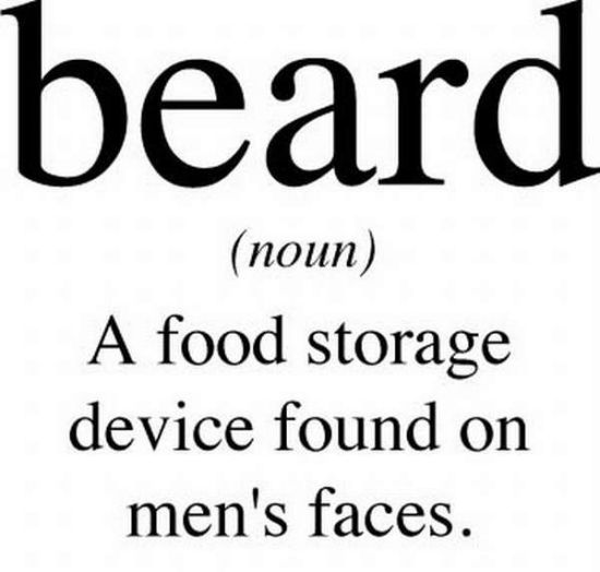 Beard A Food Storage Device Found On Men's Faces Funny Definition Picture