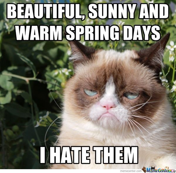 Beautiful, Sunny And Warm Spring Day I Hate Them Funny Grumpy Cat Meme Picture