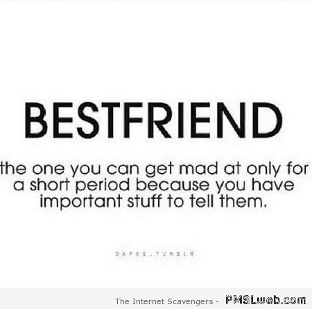 Best Friend Funny Definition Picture For Facebook