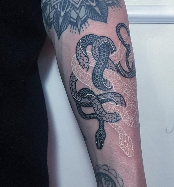 Black And White Snake Tattoos On Left Arm
