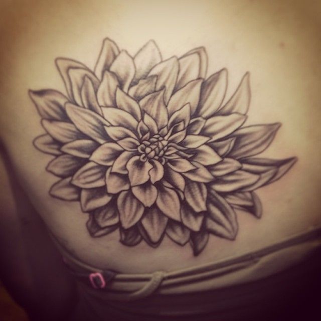 Black And Grey Dahlia Flower Tattoo Design