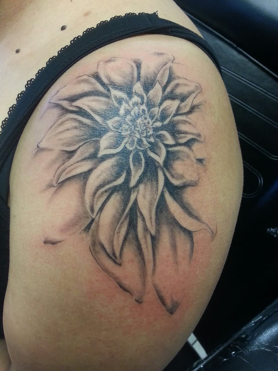 Black And Grey Dahlia Flower Tattoo On Shoulder