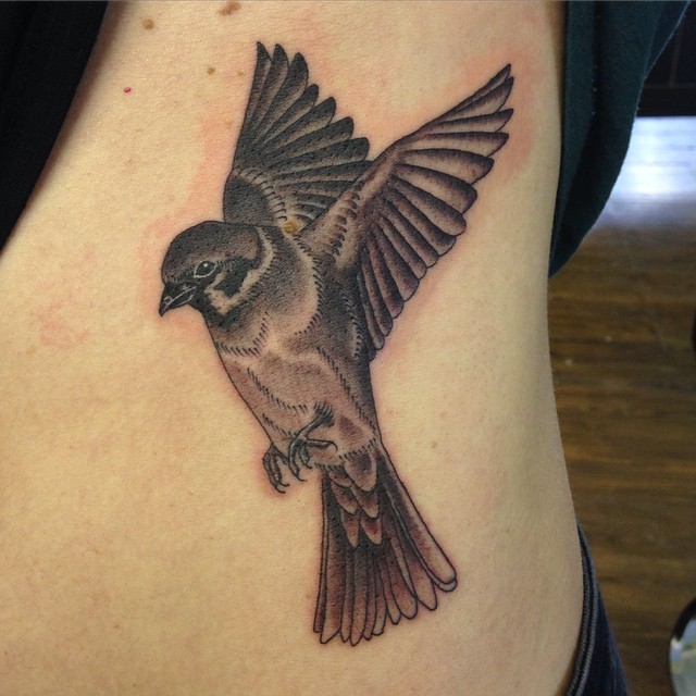 Black And Grey Sparrow Tattoo On Side Rib