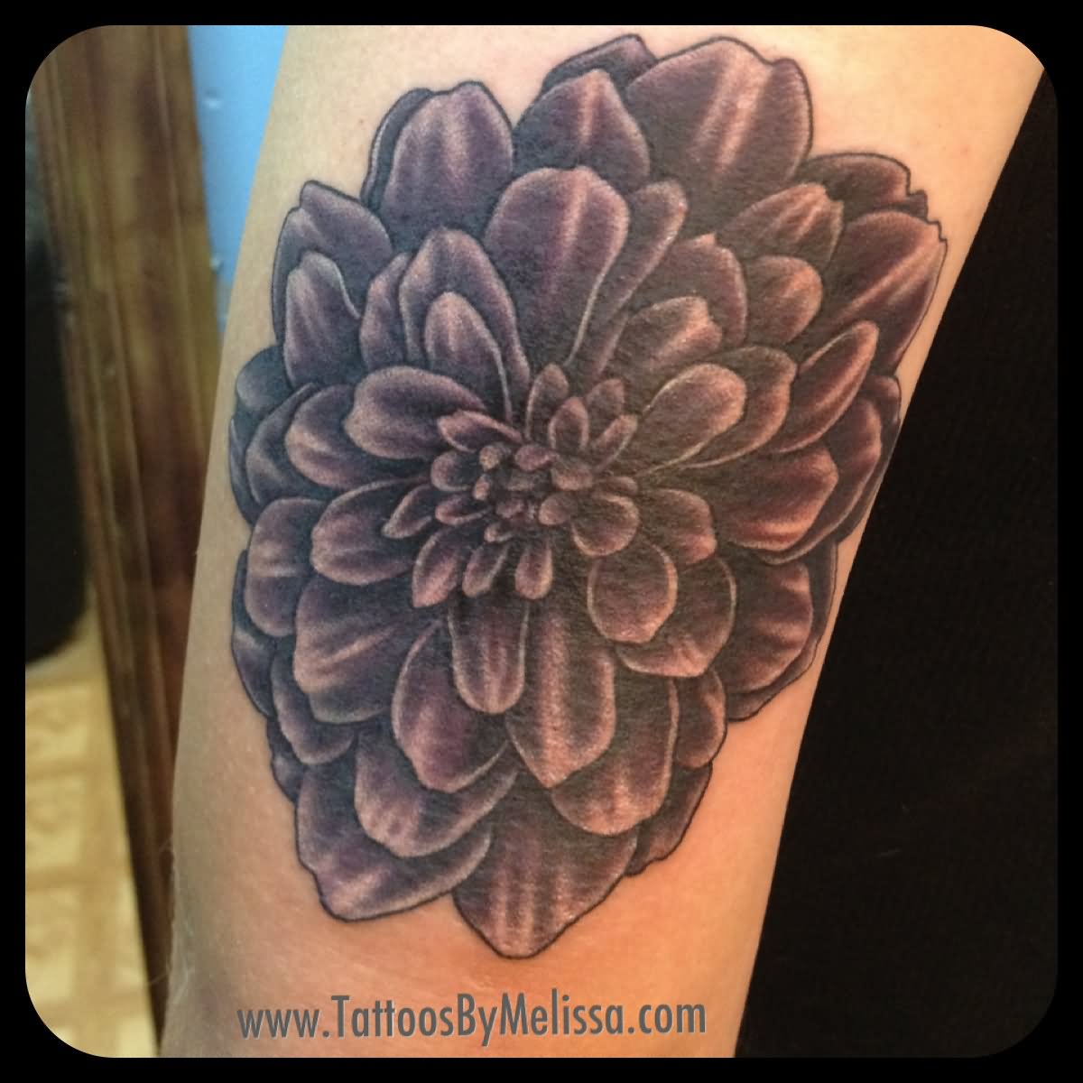 Black Ink Dahlia Flower Tattoo Design For Sleeve