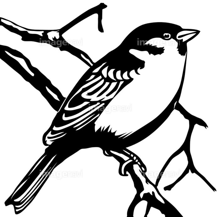 Black and White Cute Sparrow Tattoo Design