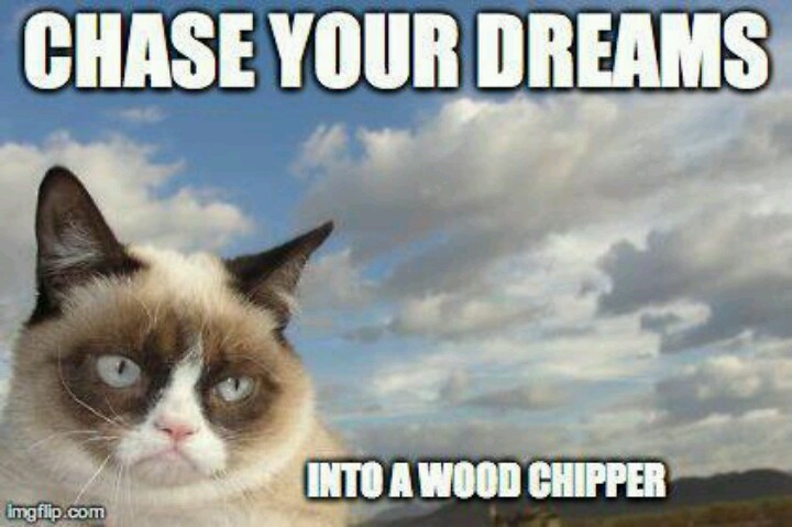 Chase You Dreams Into A wood Chipper Funny Grumpy Cat Meme Image