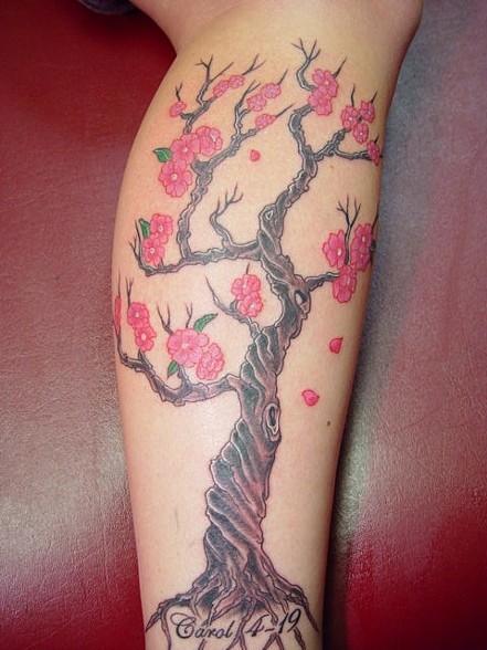 Cherry Blossom Tree Tattoo Design For Leg Calf